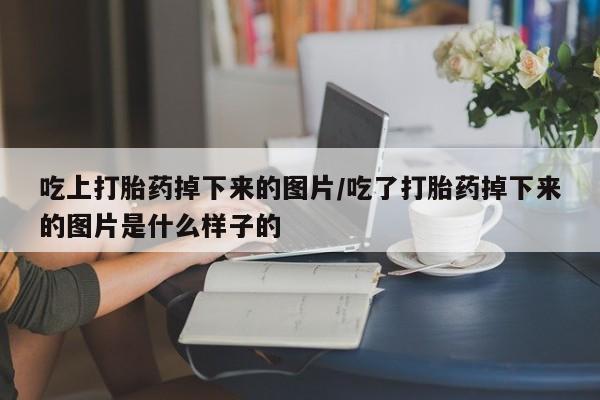 米非米索私人微信,打胎药私人店吃上打胎药掉下来的图片/吃了打胎药掉下来的图片是什么样子的